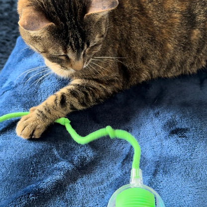 ZippyBall™ – Balle Interactive Intelligente