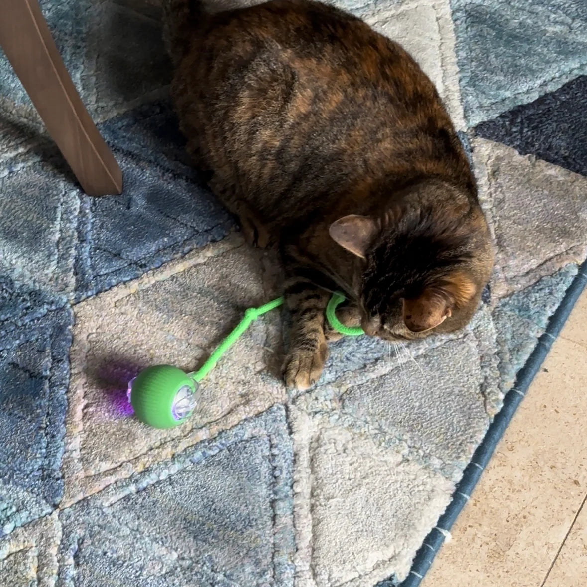 ZippyBall™ – Balle Interactive Intelligente