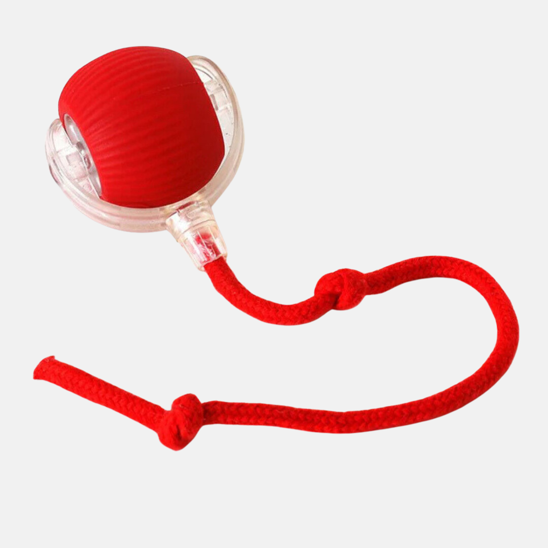 ZippyBall™ – Balle Interactive Intelligente