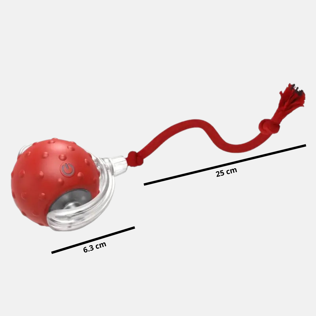 ZippyBall™ – Balle Interactive Intelligente